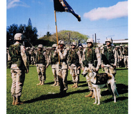 1st Battalion, 27th Infantry with the regimental wolfhound — Schofield Barracks deployment ceremony, 2004. The regiment and its mascot